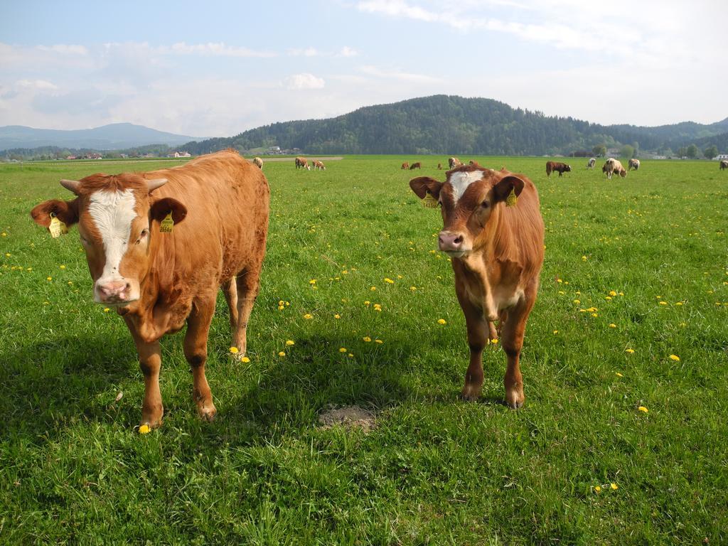 Ferienwohnung Sima Velden am Wörthersee Dış mekan fotoğraf